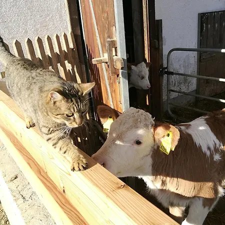 Bio Bauernhof Leitenmueller شقة