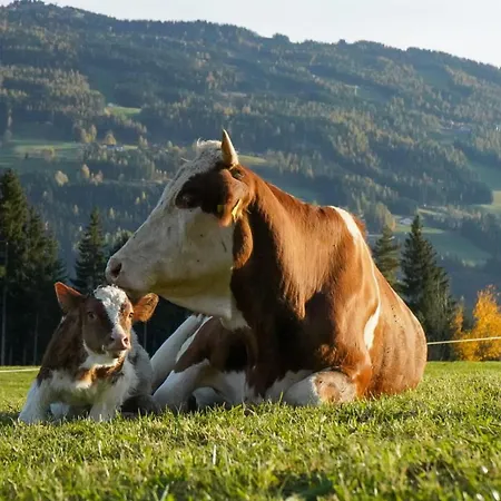 Apartamento Bio Bauernhof Leitenmueller *