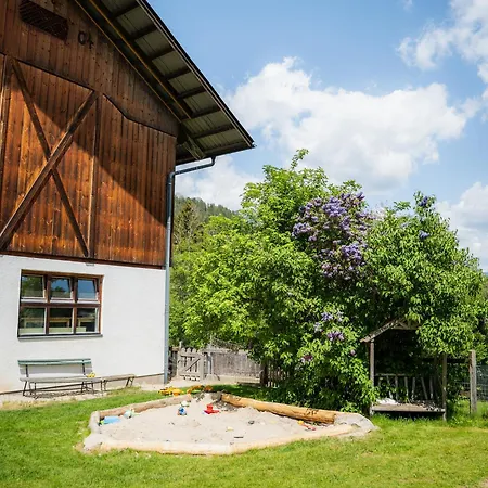 Bio Bauernhof Leitenmueller Apartment Ramsau am Dachstein