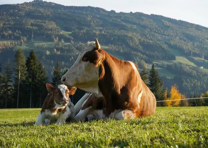 Appartement Bio Bauernhof Leitenmueller *