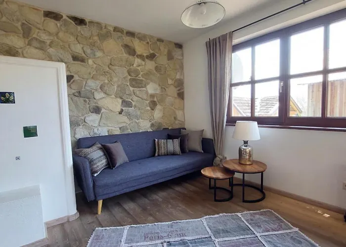 Bio Bauernhof Leitenmueller Appartement Ramsau am Dachstein